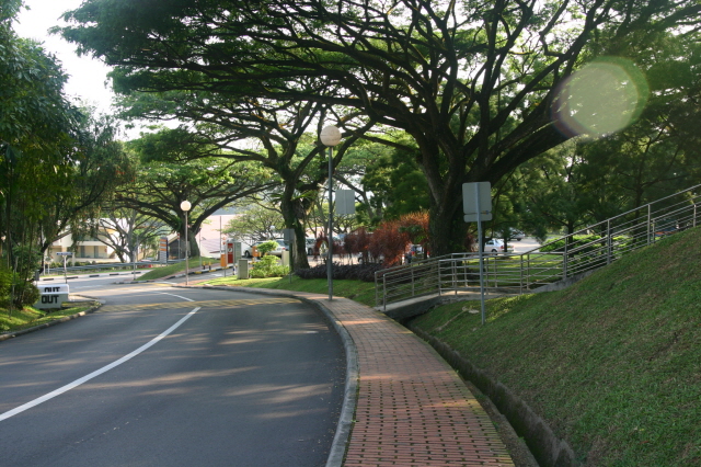 RECOMB2008 (28 March 2008 ~ 3 April 2008) SINGAPORE IMG_5868.JPG