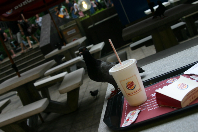 RECOMB2008 (28 March 2008 ~ 3 April 2008) SINGAPORE IMG_5849.JPG