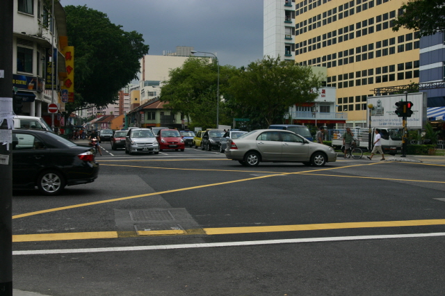 RECOMB2008 (28 March 2008 ~ 3 April 2008) SINGAPORE IMG_5843.JPG