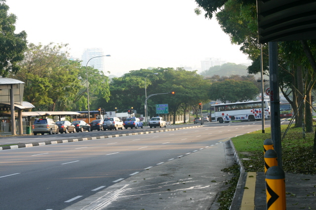 RECOMB2008 (28 March 2008 ~ 3 April 2008) SINGAPORE IMG_5870.JPG