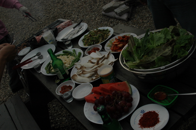 정보과학회 2008.06.30 DSC_1243.JPG