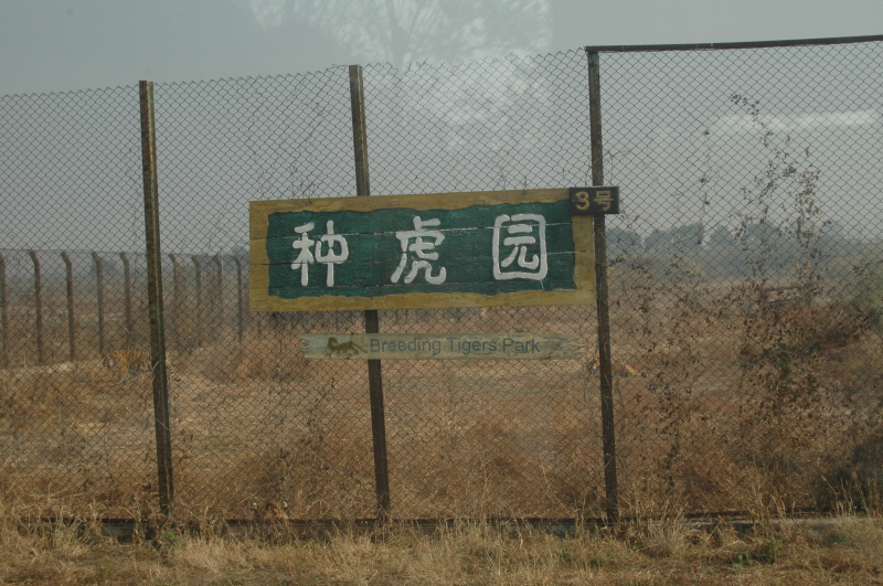 Harbin ACM 2008.10.09 DSC_1799.JPG