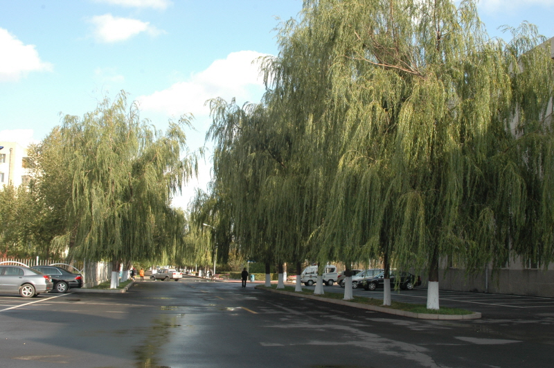 Harbin ACM 2008.10.09 DSC_1705.JPG
