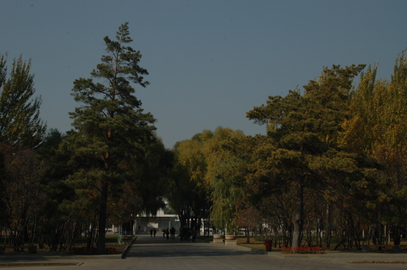 Harbin ACM 2008.10.09 DSC_1904.JPG