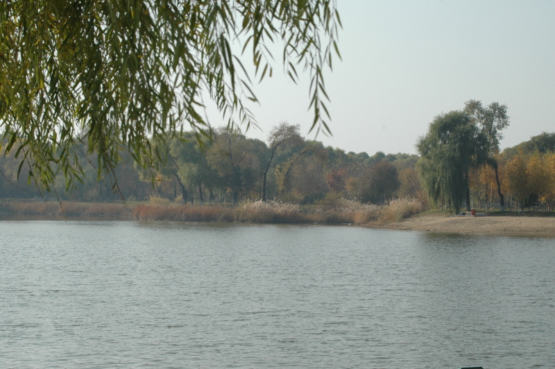 Harbin ACM 2008.10.09 DSC_1927.JPG
