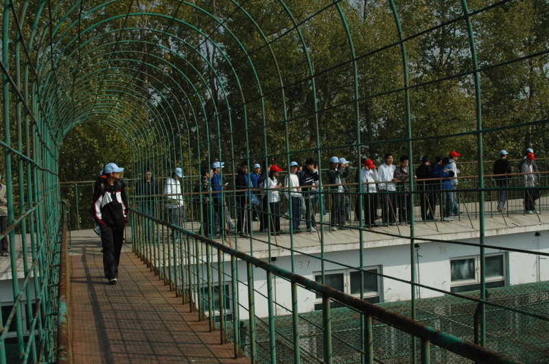 Harbin ACM 2008.10.09 DSC_1824.JPG