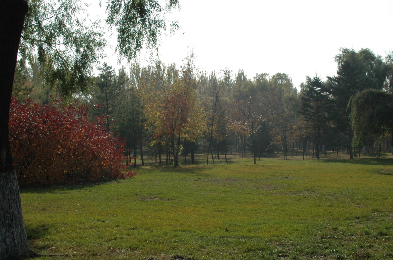Harbin ACM 2008.10.09 DSC_1907.JPG