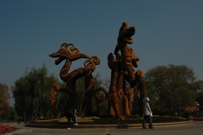 Harbin ACM 2008.10.09 DSC_1896.JPG