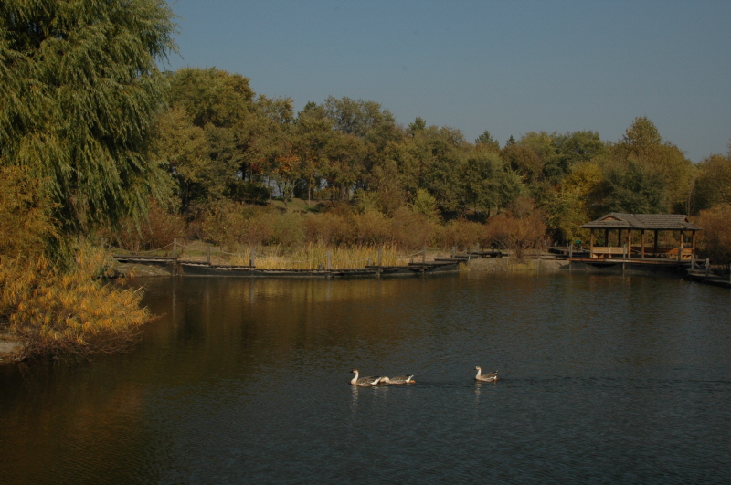 Harbin ACM 2008.10.09 DSC_1963.JPG