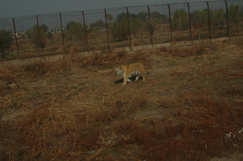 Harbin ACM 2008.10.09 DSC_1800.JPG