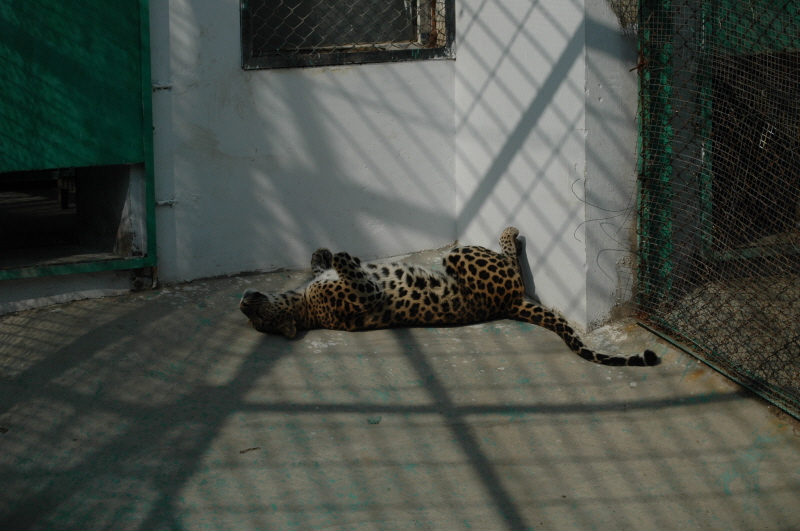 Harbin ACM 2008.10.09 DSC_1850.JPG