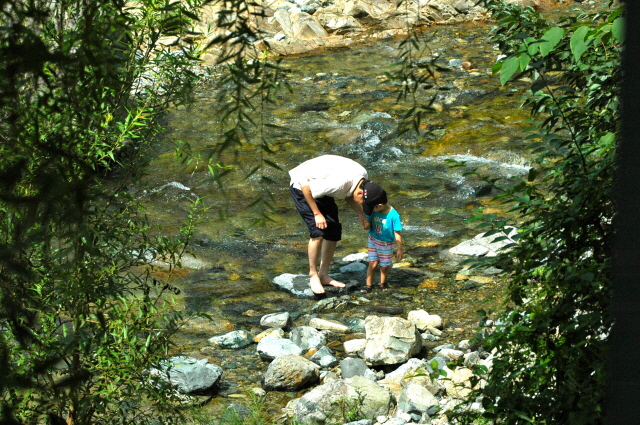 2010 Summer Workshop DSC_3202.JPG