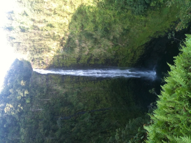 2011 PSB IMG_1084.JPG