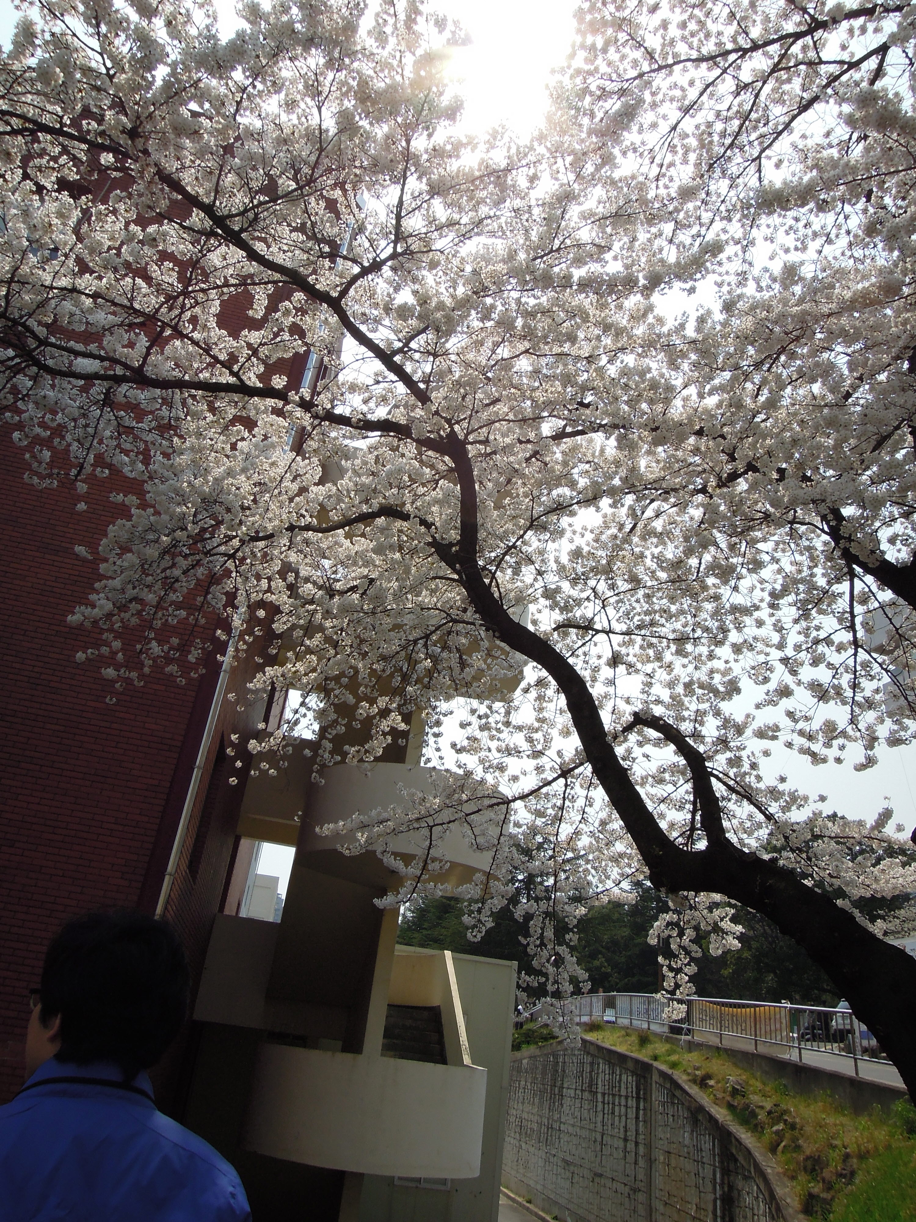 4월9일 준호 생일 점심식사 DSCN0823.JPG